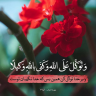 جلیل احمد محمدی